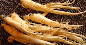 Ginseng,