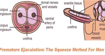 Premature Ejaculation: The Squeeze Method For Men sex-problem---Premature-Eja